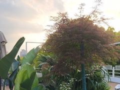 -芸鲜季·云南野生菌餐厅· 云南风物味研社(闵行店)