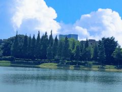 -升仙湖公园