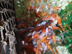 -华夏文旅西安度假区