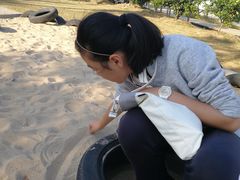 -上海长兴岛郊野公园