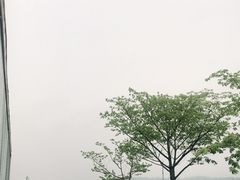-艾米稻香小镇
