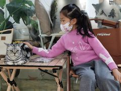 -李小姐の猫咖啡馆(五角场店)