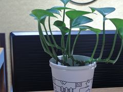 -学习谷日语培训日本留学·多语种外语教学(海淀人大分部)