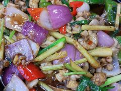 -辉记雷州羊庄(坪洲店)