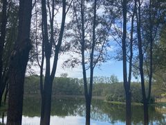 -东郊湿地公园