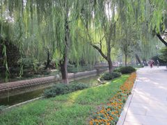 景点-菖蒲河公园