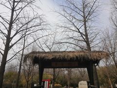 -国家植物园南园