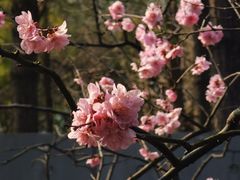 -静安雕塑公园