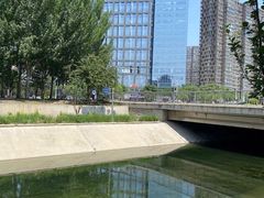 -大望京公园