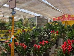 -秦美花卉(天朗·莱茵小城2期店)