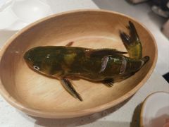 -海底捞火锅(高科广场店)