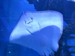 -上海海昌海洋公园