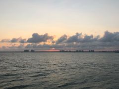-东郊椰林
