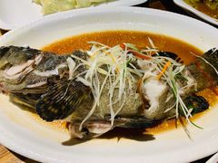 清蒸虎斑鱼-金海湾海鲜总店