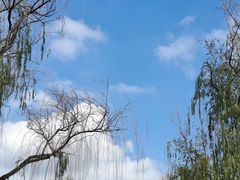 -咸阳湖景区