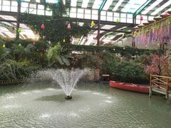 -第五季龙水凤港生态露营农场