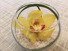 -潮府馆·非遗潮州菜·港式点心(世纪公园店)