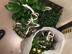 -鹿岛会员店 (龙湖三千集天街店)