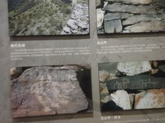 -包头博物馆