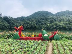 -广州市石门国家森林公园