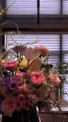 -上海华美医疗美容医院