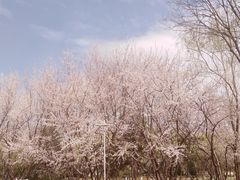 -南长河公园
