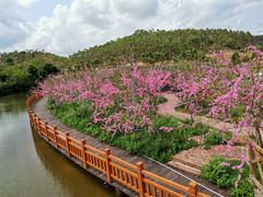 -田园寨农园观光园