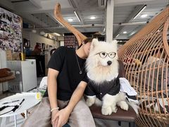-星多哈·狗咖·拼豆·咖啡