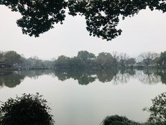 -西湖外事游船(花港观鱼码头)