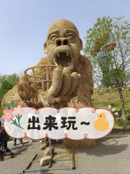 -密云玫瑰情园