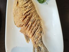 -老牌坊鲁菜名店(聊城美食岛店)