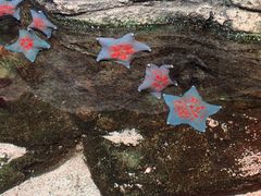 -沈阳海洋探索中心