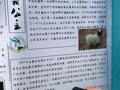 -青藏高原野生动物园