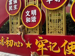 -玉泉观