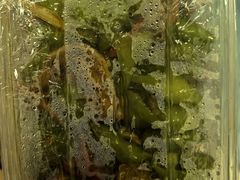 -祥记餐饮•豫粤珍味(金隅大厦店)