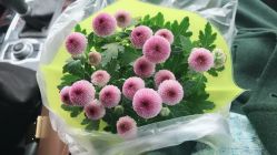 -scarlet斯卡莱美容护理机构