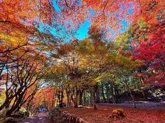 -醍醐寺