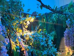 -魔法日记三坑cosplay换装自拍体验馆