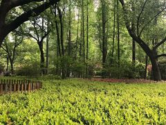 -徐家汇源景区-衡山公园