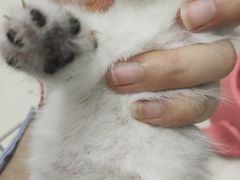 -安安宠医·臻爱宠物医院·宠保定点(营门口路分院)