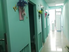 -槿言教育·雅思托福·国际教育·小语种培训留学中心(观音桥店)