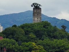 -江心屿景区