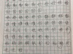 -赵汝飞练字硬笔书法(长寿路校区)
