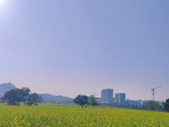 -光明小镇欢乐田园