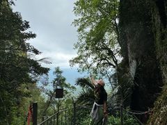 -七仙岭温泉国家森林公园