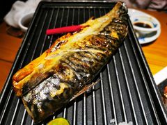 盐烤挪威青花鱼-渔寿司·日本料理(艾尚天地店)