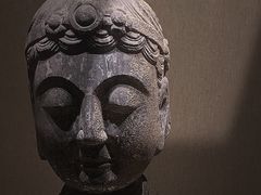 -河南博物院