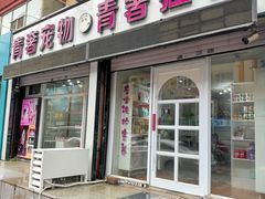 -青奢宠物·青奢猫舍