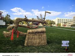-东北农业大学饺子园