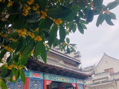 -龙潭水乡